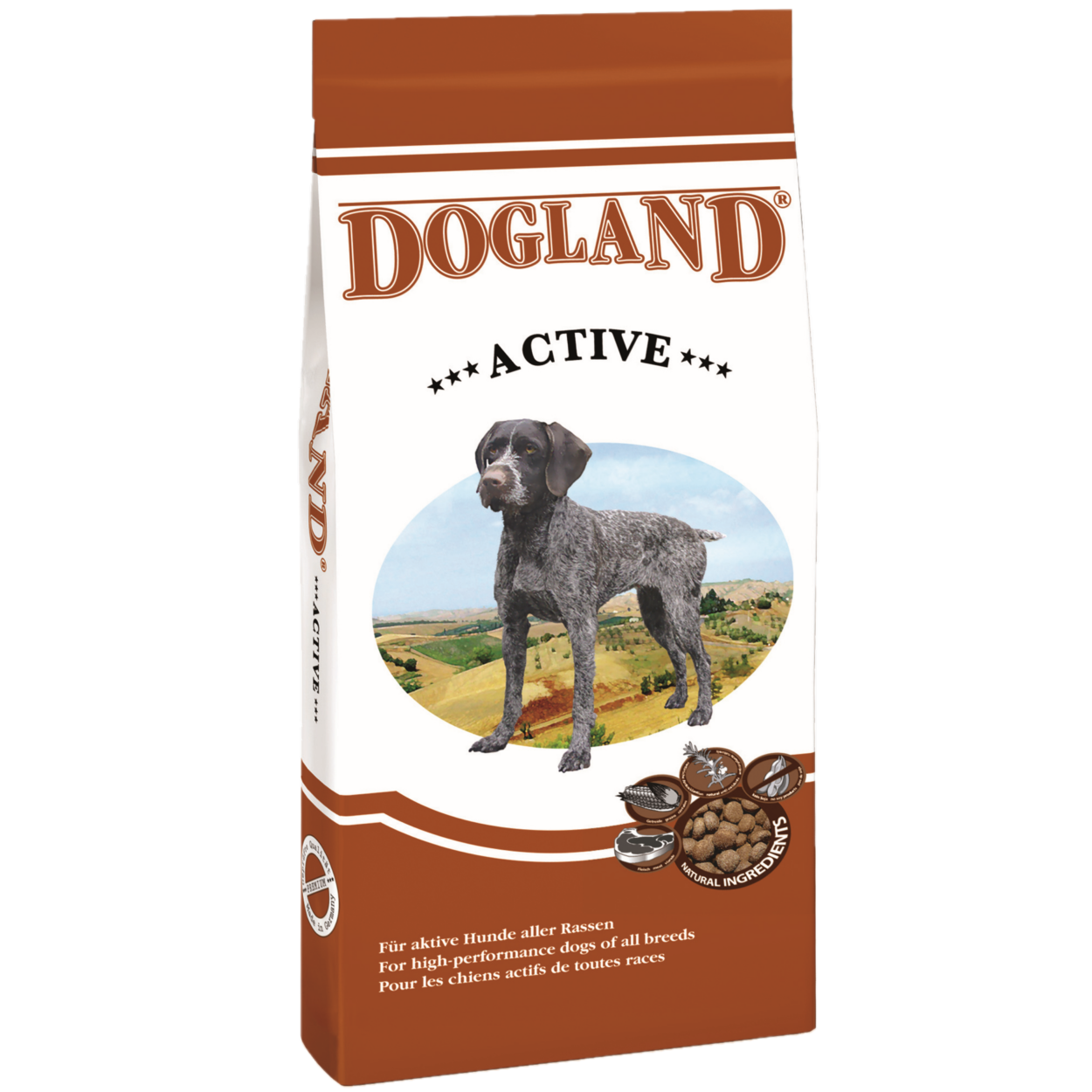 Dogland Active